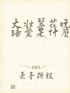 大壮翠花晚上不睡觉是什么电视剧