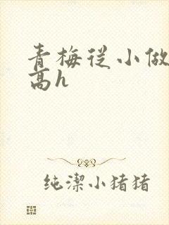 青梅从小做到大高h