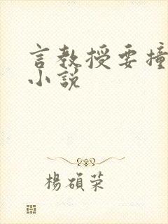 言教授要撞坏了小说