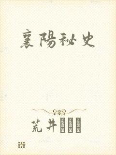 襄阳秘史