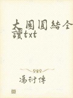 大团圆结全文阅读txt