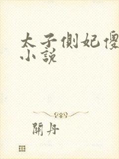 太子侧妃傻乎乎小说