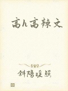 高h高辣文