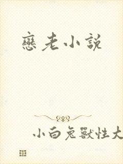 恋老小说