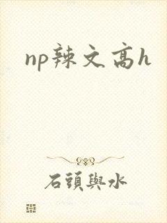 np辣文高h