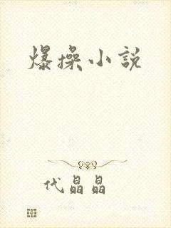 爆操小说