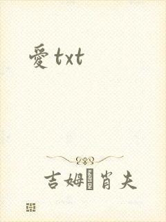 爱txt