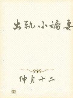 出轨小娇妻