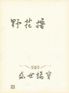 野花撸