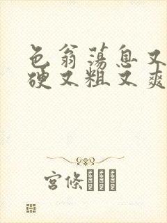 色翁荡息又大又硬又粗又爽电影