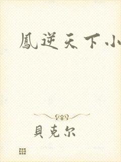 凤逆天下小说