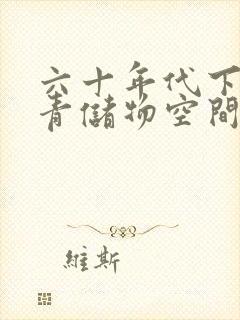 六十年代下乡知青储物空间