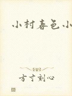 小村春色小说