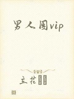 男人团vip