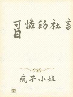 可怜的社畜东度日