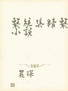 系统集精系统 小说