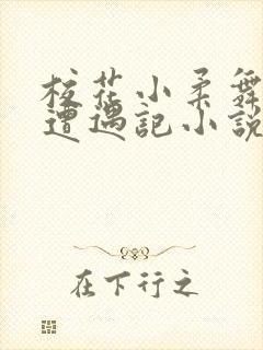 校花小柔舞蹈室遭遇记小说