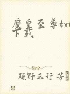 魔皇至尊txt下载