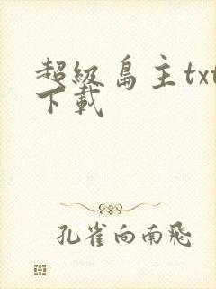 超级岛主txt下载