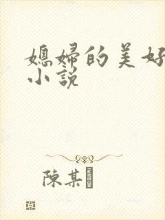 媳妇的美好时代小说