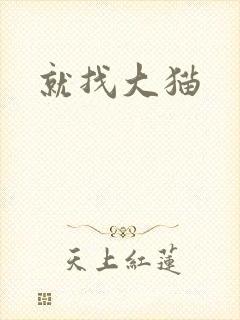 就找大猫