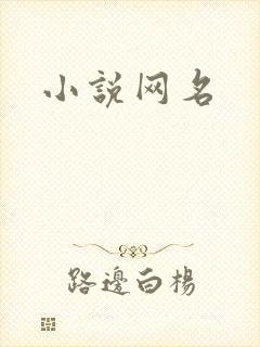 小说网名