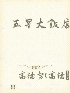 五星大饭店小说