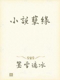 小说孽缘