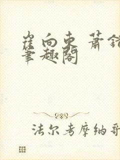 崔向东 萧错 笔趣阁