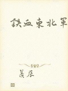 铁血东北军
