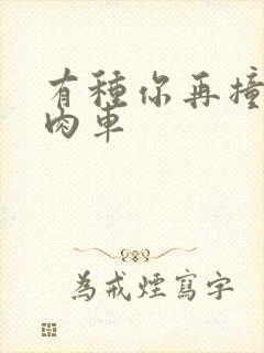 有种你再撞一下肉车