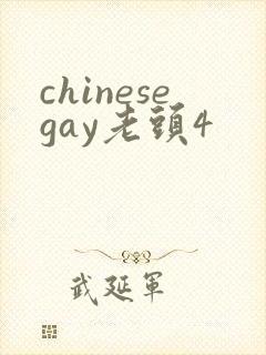 chinesegay老头4