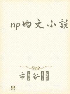 np肉文小说