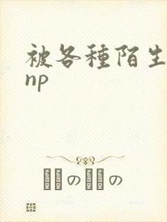 被各种陌生人 np