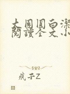 大团圆白洁免费阅读全文小说