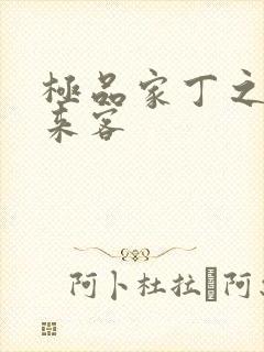 极品家丁之远方来客