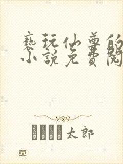 亵玩仙尊的道侣小说免费阅读