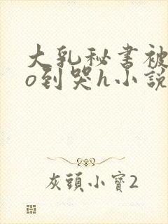 大乳秘书被cao到哭h小说