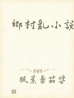 乡村乱小说