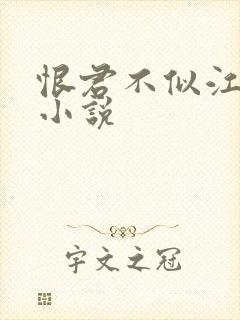 恨君不似江楼月小说