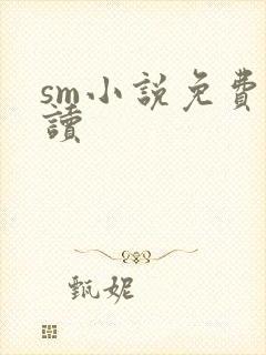 sm小说免费阅读