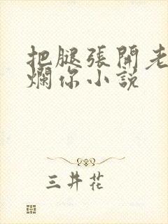 把腿张开老子臊烂你小说