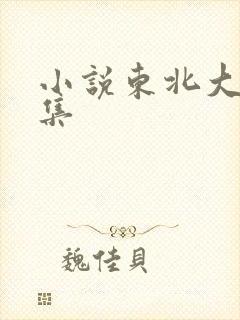 小说东北大炕全集