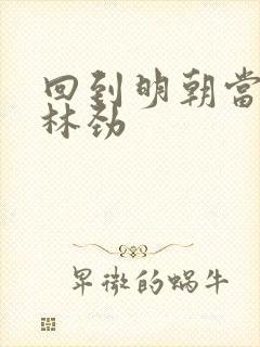 回到明朝当王爷林劲