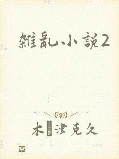 杂乱小说2