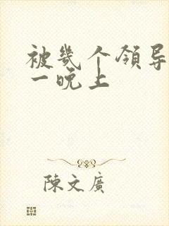 被几个领导玩弄一晚上