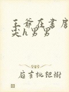 王爷在书房含乳尖h男男