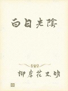 白日光阴