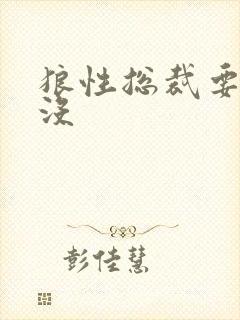 狼性总裁要够了没