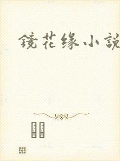 镜花缘小说